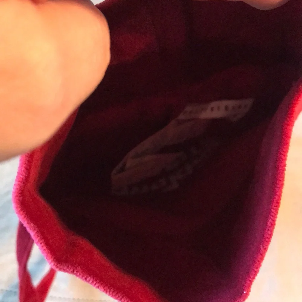 Pottery Barn Making Spirts Bright Velvet Wine Bag